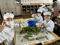 pict-IMG_7332