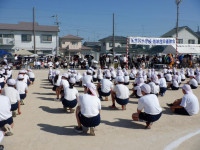 DSCF2393