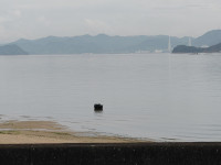 IMG00079