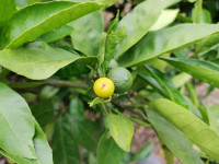 IMG00098