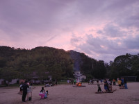IMG00146