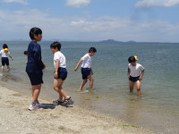 DSC04511
