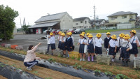 pict-DSC06104