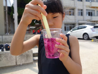 DSC07021