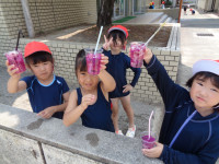 DSC07025