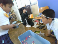 IMG_20260710_112840