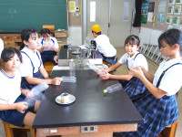NORMAL00010
